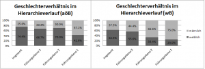 Abb. 3: Geschlechterverhältnis nach Hierarchiestufe an allg. öffentlichen und wissenschaftlichen Bibliotheken