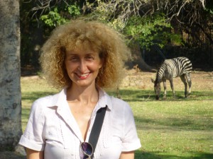 Bild der vorletzten Reise, Victoria Falls, Zambia, Sept. 2013